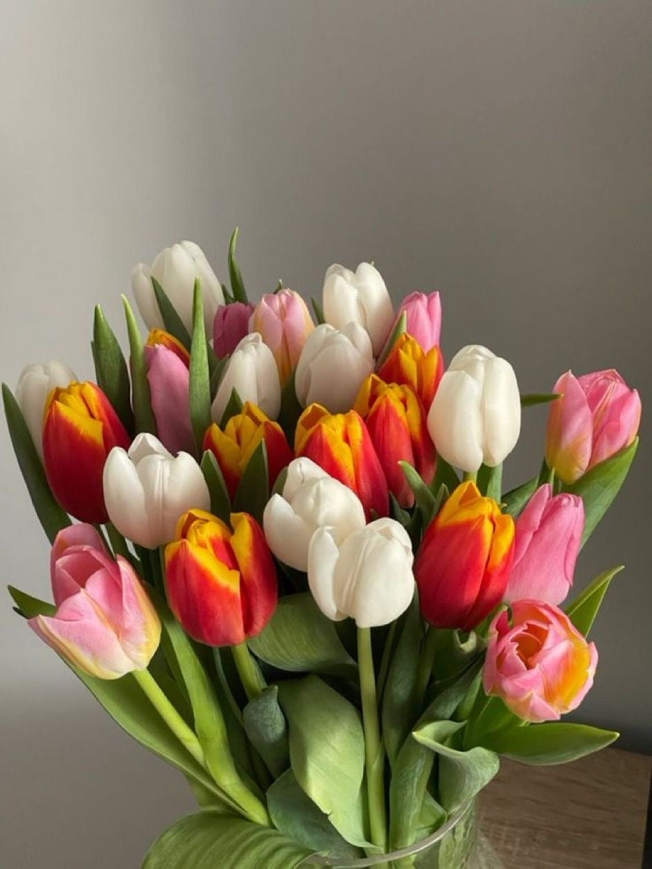 Tulip Household Bouquet