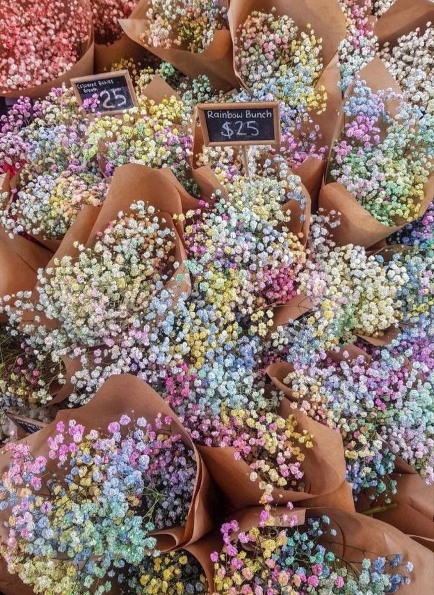 Baby’s Breath Household Bouquet