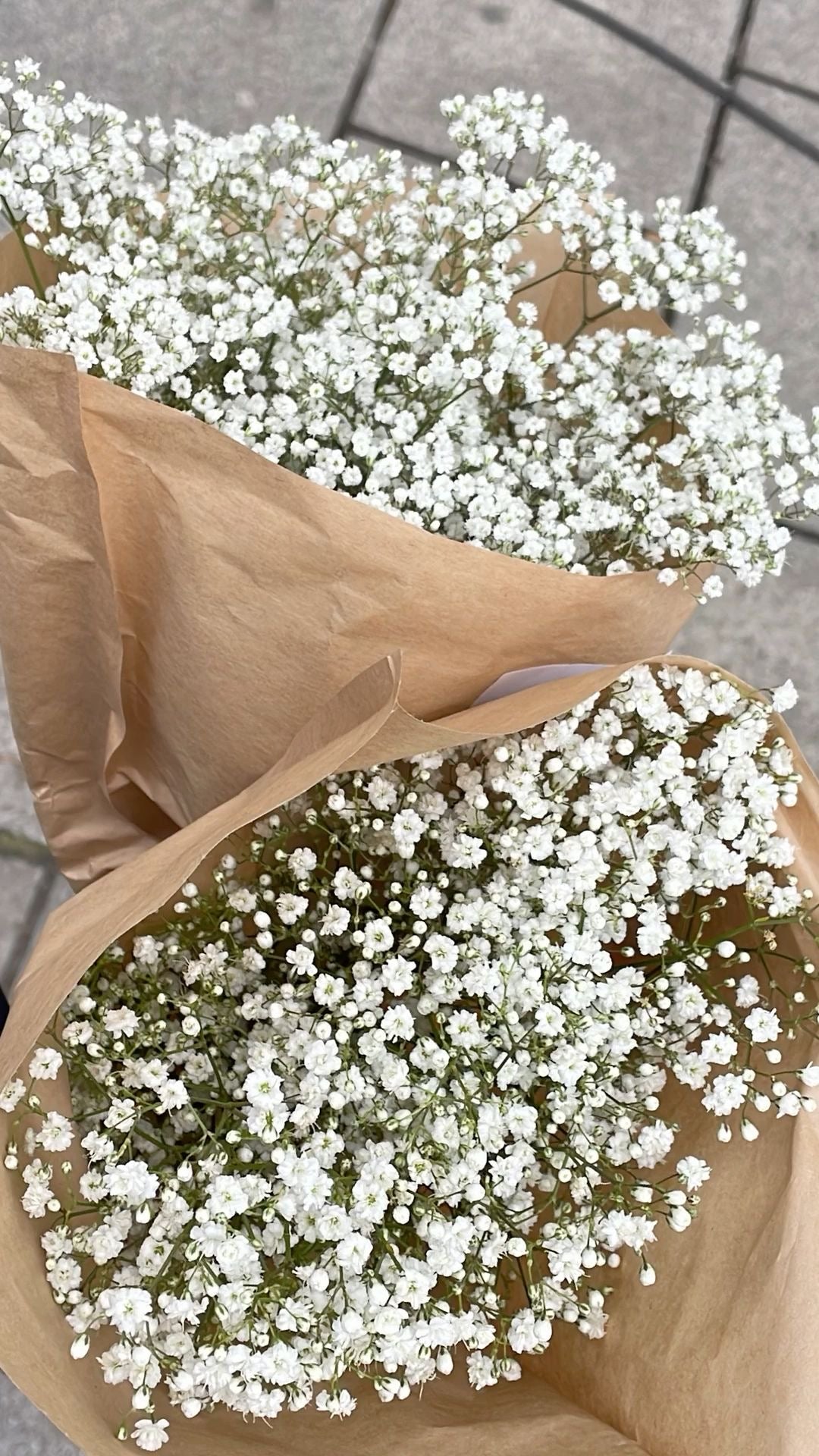 Baby’s Breath Household Bouquet